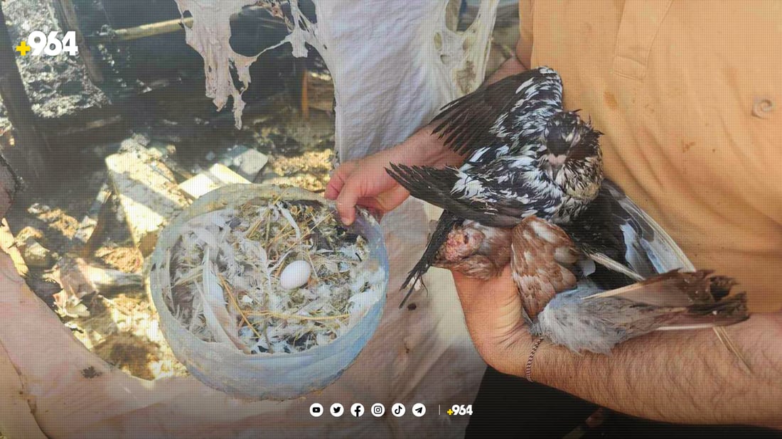 دووەمجارە کەمپی کەپەرتوو دەسوتێت