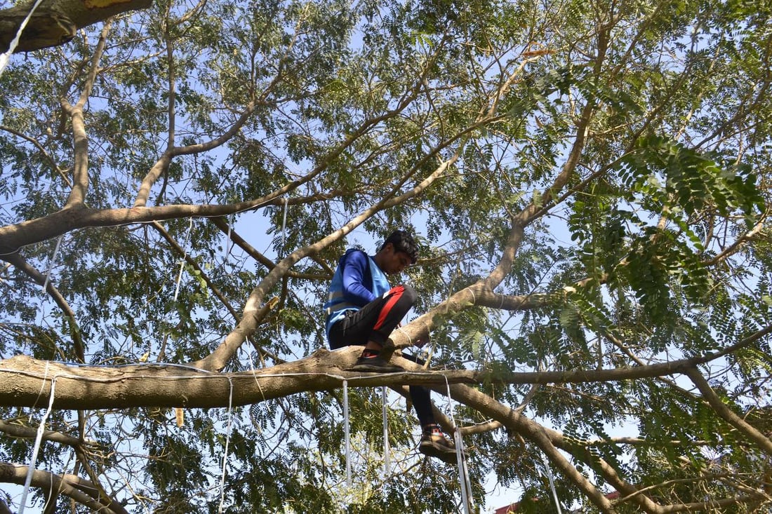البياع: متنزه “بغداد” بحلة جديدة.. إنارة ليلية تحيي الحديقة حتى الصباح
