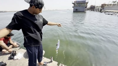 تسليم واستلام تحت الماء.. سمك البصرة يهاجر ويمنح النهر لكائنات البحر!