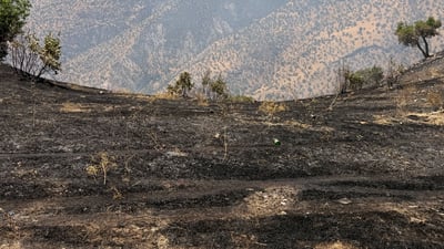 Cross-border wildfire burns for a third day in Halabja