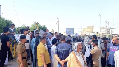 سيزرع العراق العنبر ثانية لكن الديوانية ترفض بشدة.. خسرنا 40 ألف دونم (صور)