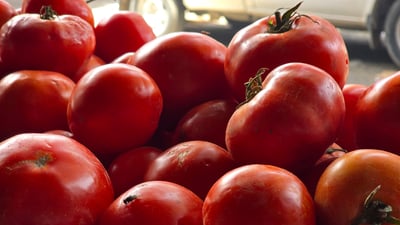 سبەی هاوردەی تەماتە و شووتی لە ئێرانەوە رادەگیرێت و نرخیان زۆر هەرزان بووە