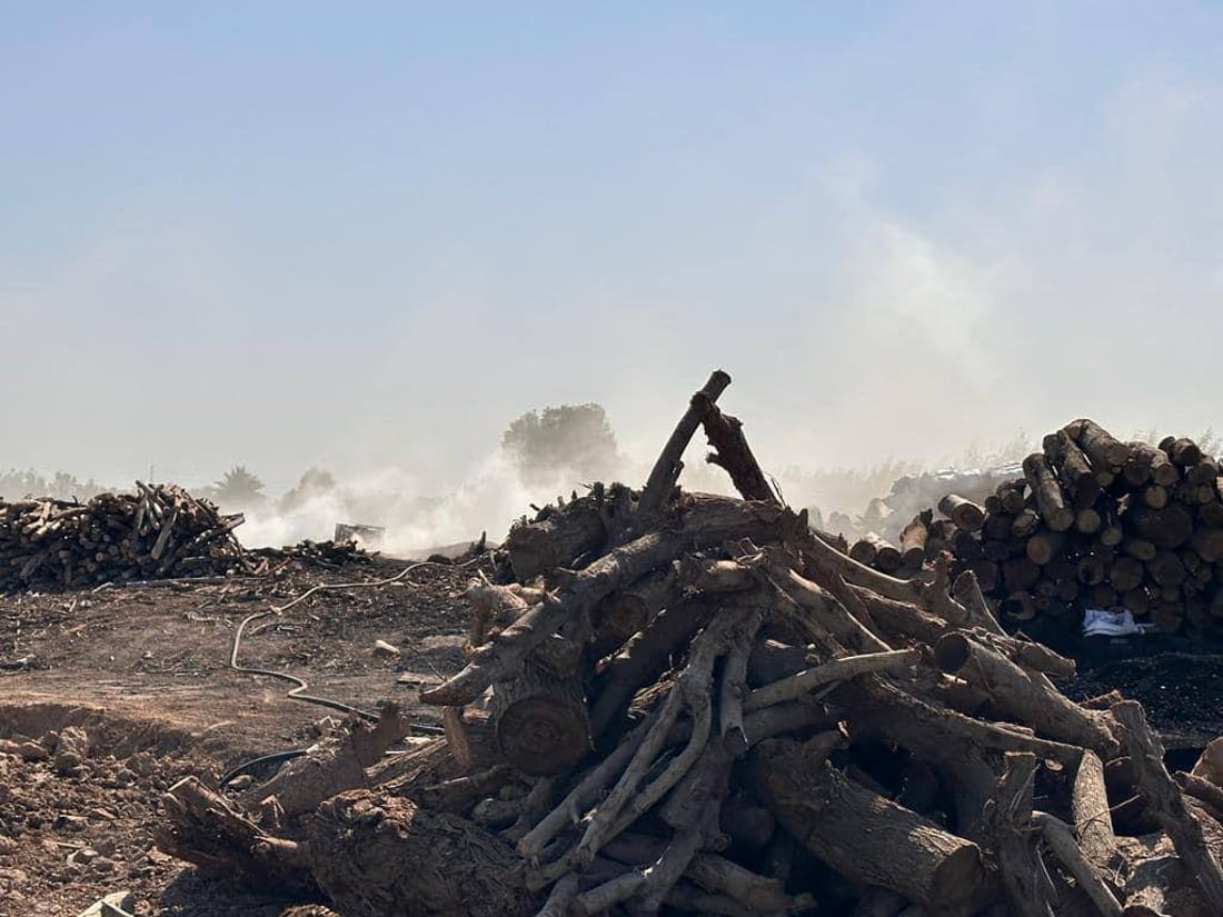 الشوي على خشب حمضيات ديالى ليس كغيره.. الفحامة في أفضل حال والمنتوج إلى البصرة