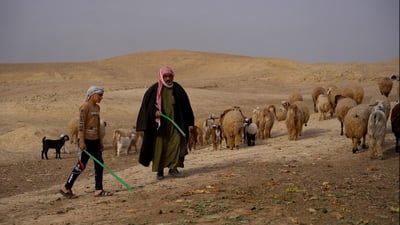 Nomadic shepherds in Nineveh keep centuries-old lifestyle untouched by modern tech