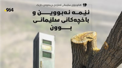 هاتوچۆی سلێمانی: ئێمە ئەو دارەمان نەبڕیوەتەوە کە لە بەردەم کامێرای خێراییە