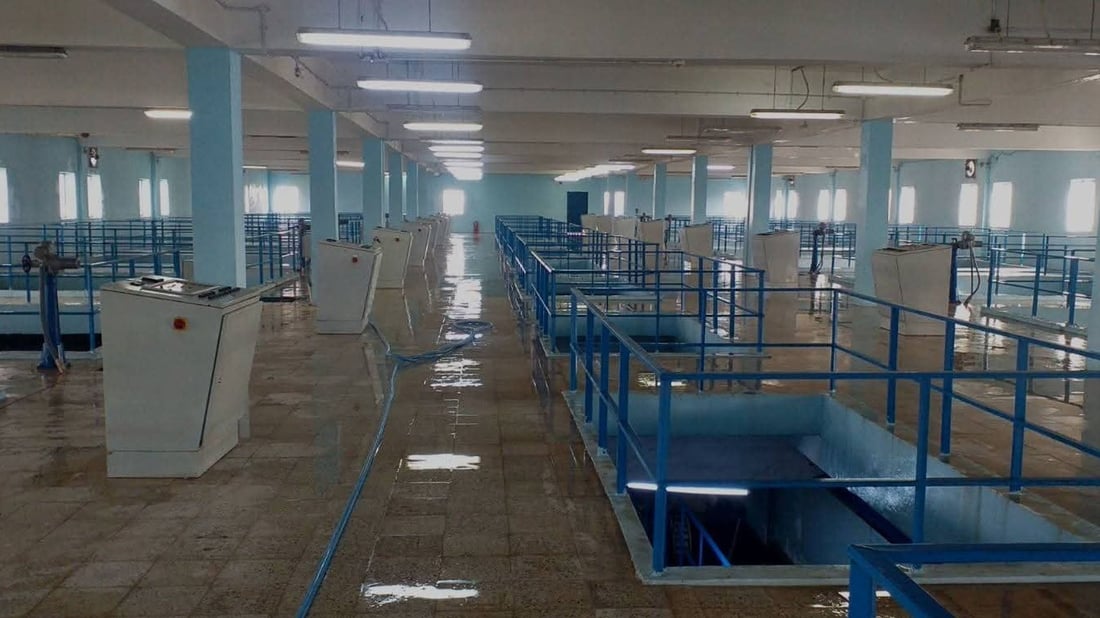 “ئەمساڵ خورماتوو – کفری کێشەی ئاوی خواردنەوەیان نابێت”