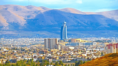 Five new spider species discovered in Kurdistan Region