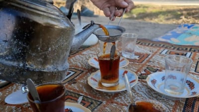 Autumn picnics in Ghammas, a weekend tradition amid lush green fields