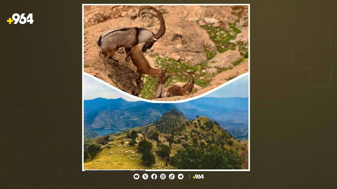 Restricted access to mount Baranan for 30 days to protect wildlife