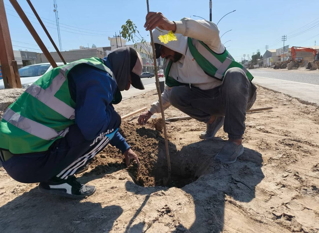 حملة التشجير الربيعية انطلقت.. صور من 8 مدن في الأنبار