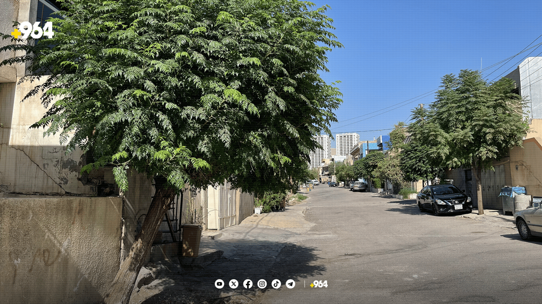 ئەگەر داری بەردەم ماڵەکەت هەڵپاچیت و وشک ببێت سزا دەدرێیت