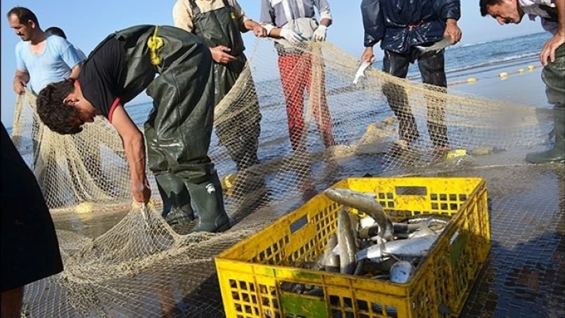 السلمون والكافيار.. دهوك تقترب من افتتاح أكبر مزرعة أسماك في العراق