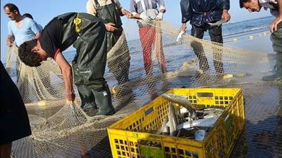 السلمون والكافيار.. دهوك تقترب من افتتاح أكبر مزرعة أسماك في العراق