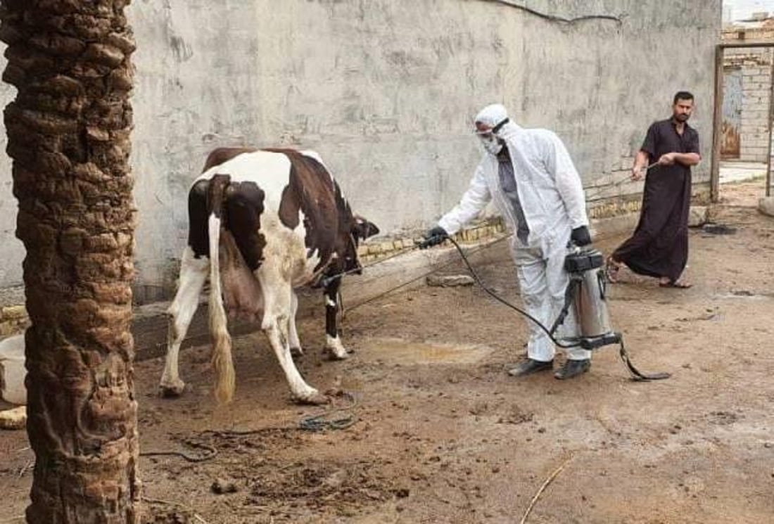 هەولێریش بۆ رووبەڕووبوونەوەی تای خوێنبەربوون بەخۆكەوت
