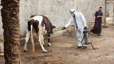 هەولێریش بۆ رووبەڕووبوونەوەی تای خوێنبەربوون بەخۆكەوت