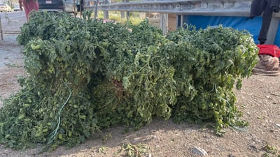 نۆبەرەی فەریکە نۆکەکەی گەرمیان لە بازاڕی سلێمانییە