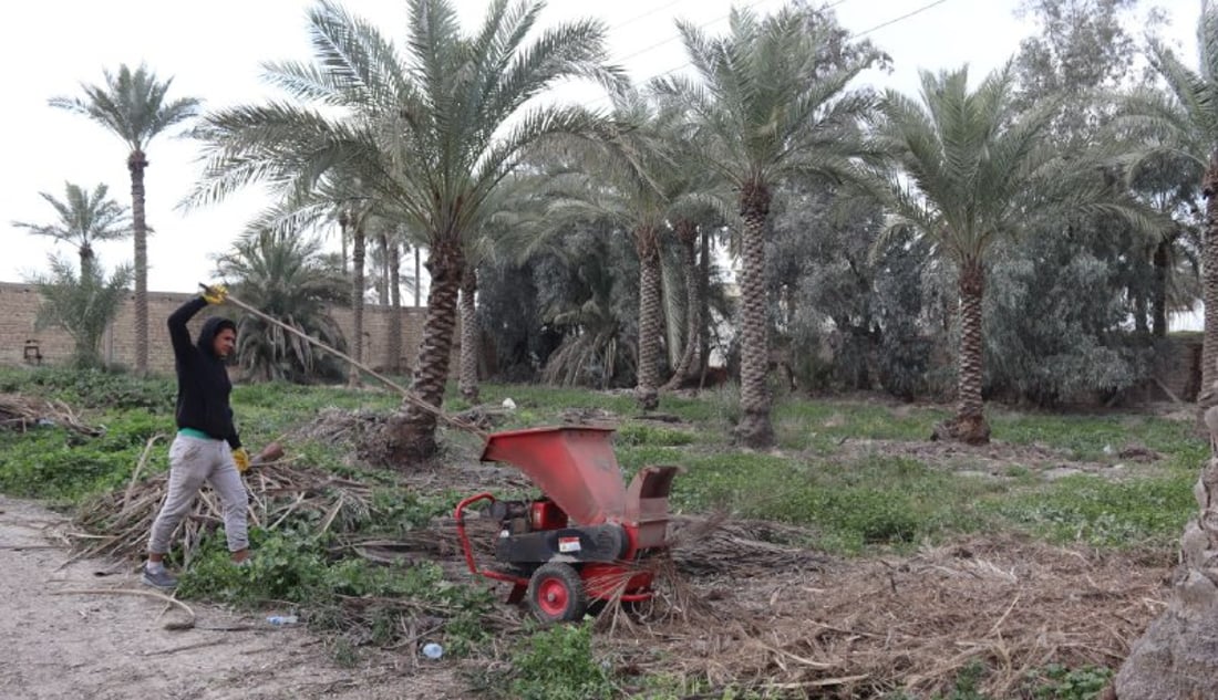 سماد طبيعي من سعف النخيل.. صحي بلا كيمياويات وهكذا تنتجه التاجي (صور)