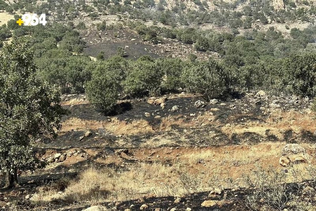 لە مێرگەپان هەزار داربەڕوو سووتان