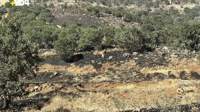 لە مێرگەپان هەزار داربەڕوو سووتان