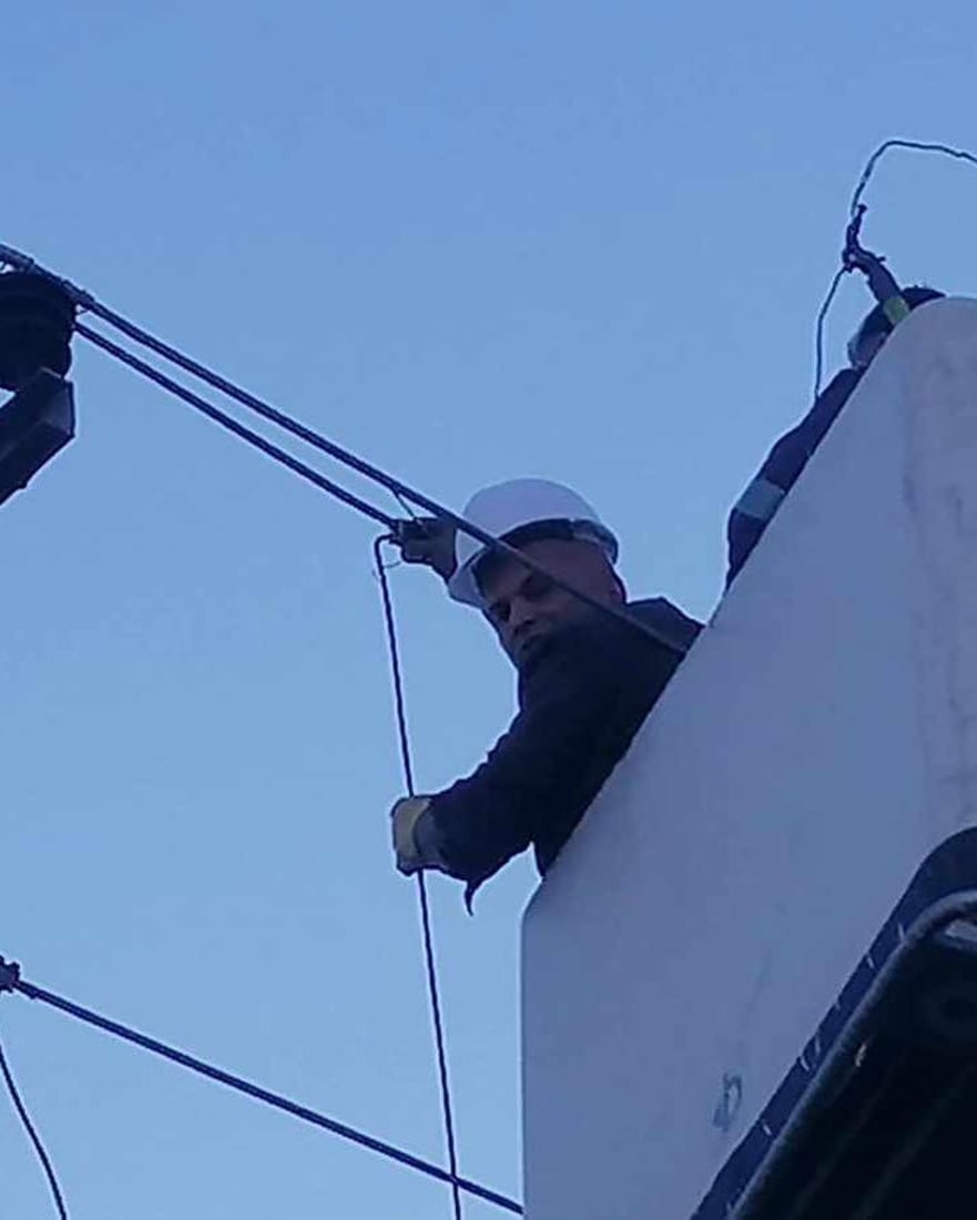 پشیلەیەک کارەبای گەڕەکێک دەکوژێنێتەوە