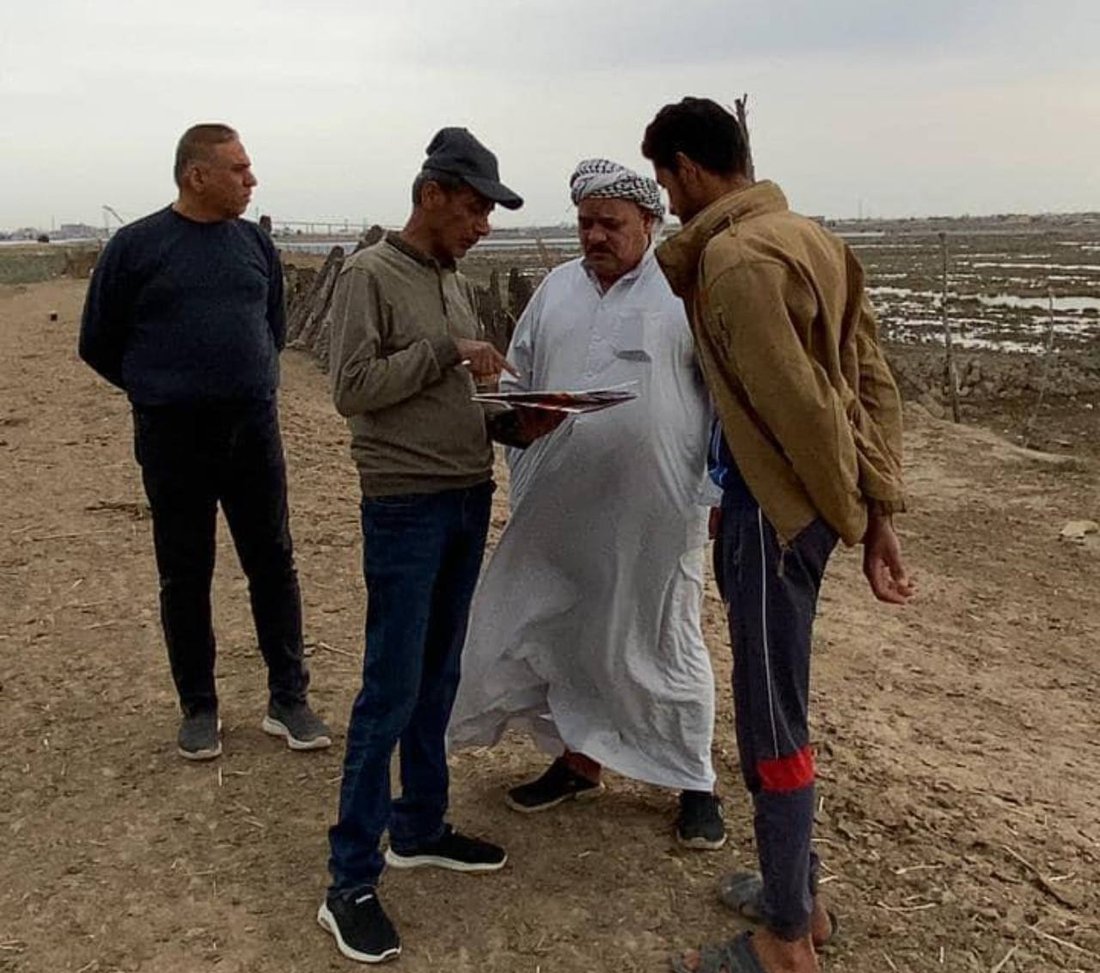 البصرة توزع “دبس السكر” على جواميس الأهوار لفتح شهيتها وزيادة الخصوبة