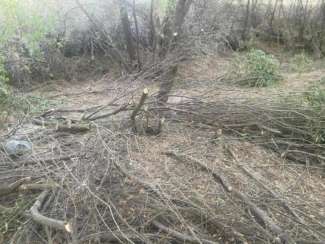 پێنج کەس ژمارەیەک شۆڕەبی لاو و بەتەمەنیان بڕییەوە؛ دەستگیر کران