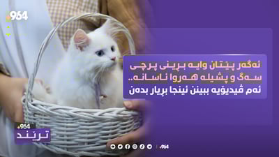 بڕینی پرچی سەگ وپشیلە ئاسانە؟