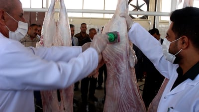 سامراء تبدأ العمل بالمجزرة المغلقة: تحققوا من الختم قبل شراء اللحوم (فيديو)