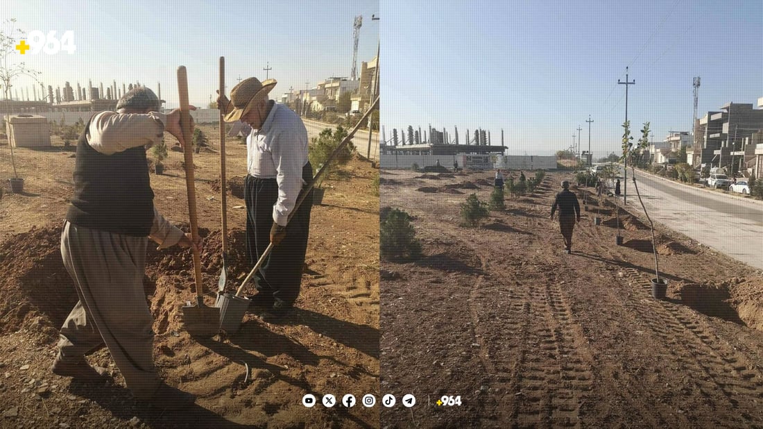 ئەو زەوییانەی بۆ باخچە داندراون سەوز دەکرێن