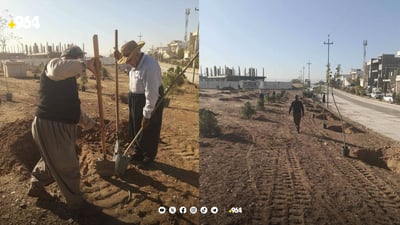 ئەو زەوییانەی بۆ باخچە داندراون سەوز دەکرێن