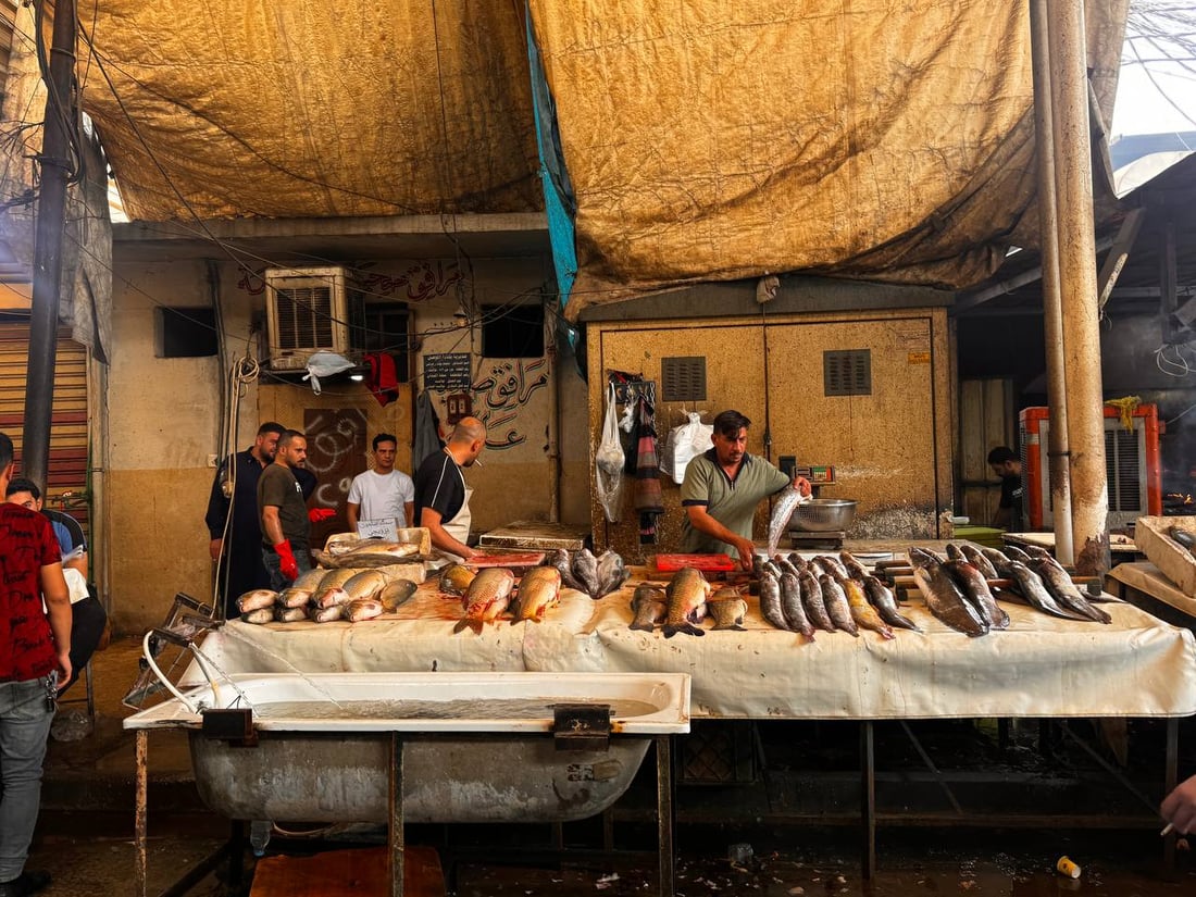 سوق السمك في الموصل ينتعش.. زوار أجانب يتوافدون يومياً (صور)