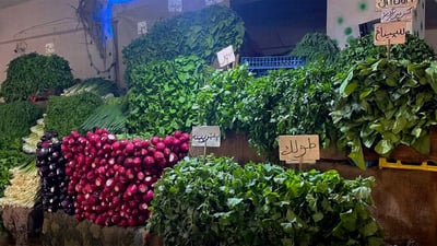 يمنع تقديم الخضار في مطاعم السليمانية.. قرار من الصحة لمكافحة الكوليرا