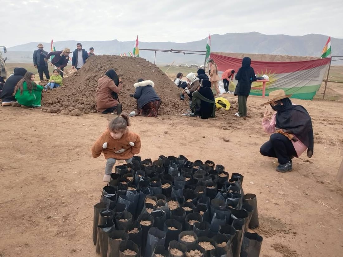 ژنێكی شیلادزێ 4000 به‌ڕوو بۆ سه‌وزكردنى چیاى مه‌قلوب دابین ده‌كات