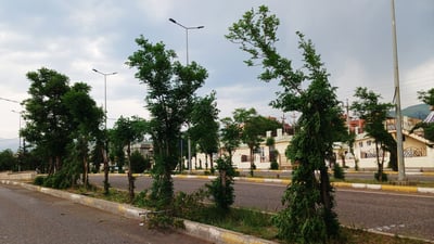 ئه‌م ئێواره‌یه‌ ره‌شه‌با چه‌ندین داری له‌ هه‌ڵه‌بجه‌ى شكاند