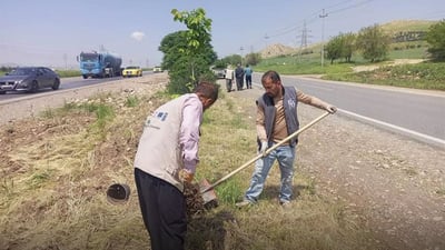شەقامی ناوەندیی نێوان سلێمانی و تاسڵوجە سەوز دەکرێت