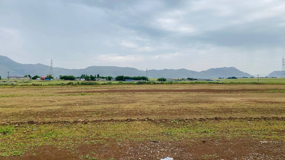 دانیشتوانى گەڕەکى شێنێ لە ژاراوە بەدەست بۆنى ئاغەڵەکان گرفتار بوون