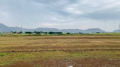 دانیشتوانى گەڕەکى شێنێ لە ژاراوە بەدەست بۆنى ئاغەڵەکان گرفتار بوون