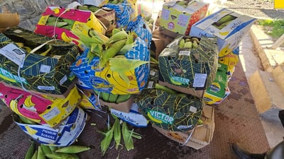 لە هەڵەبجە ده‌ست به‌سه‌ر 875 كیلۆگرام گه‌نمه‌شامیدا گیرا