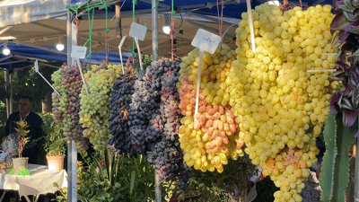 ترێ بەشەرتى تام و بۆن