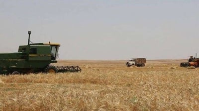 جوتیارەکەی سەرگەڕان بە ئاڵای کوردستان و تراکتۆرەکەیەوە ئاگری نەورۆزی کردەوە
