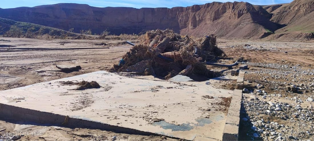 پاشماوه‌ى داره‌ ته‌مه‌ن 60 ساڵییه‌كه‌ى چه‌می ئاوه‌سپی دۆزرایه‌وه‌ كه‌ لافاى هه‌ڵیته‌كاندبوو