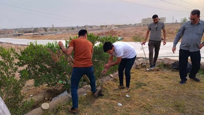 150 شتلة حملت توقيع طلبة العربية في تلعفر.. سبحبح واكاسيا وجاكرندا (صور)