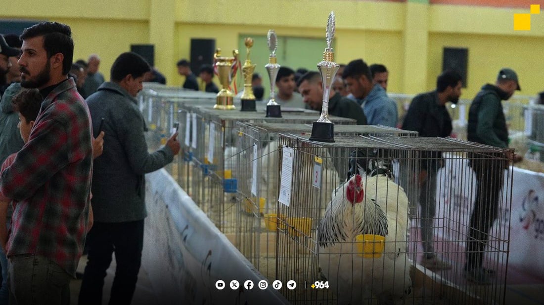 کەڵەشێری هەولێر یەکەمی عێراقە