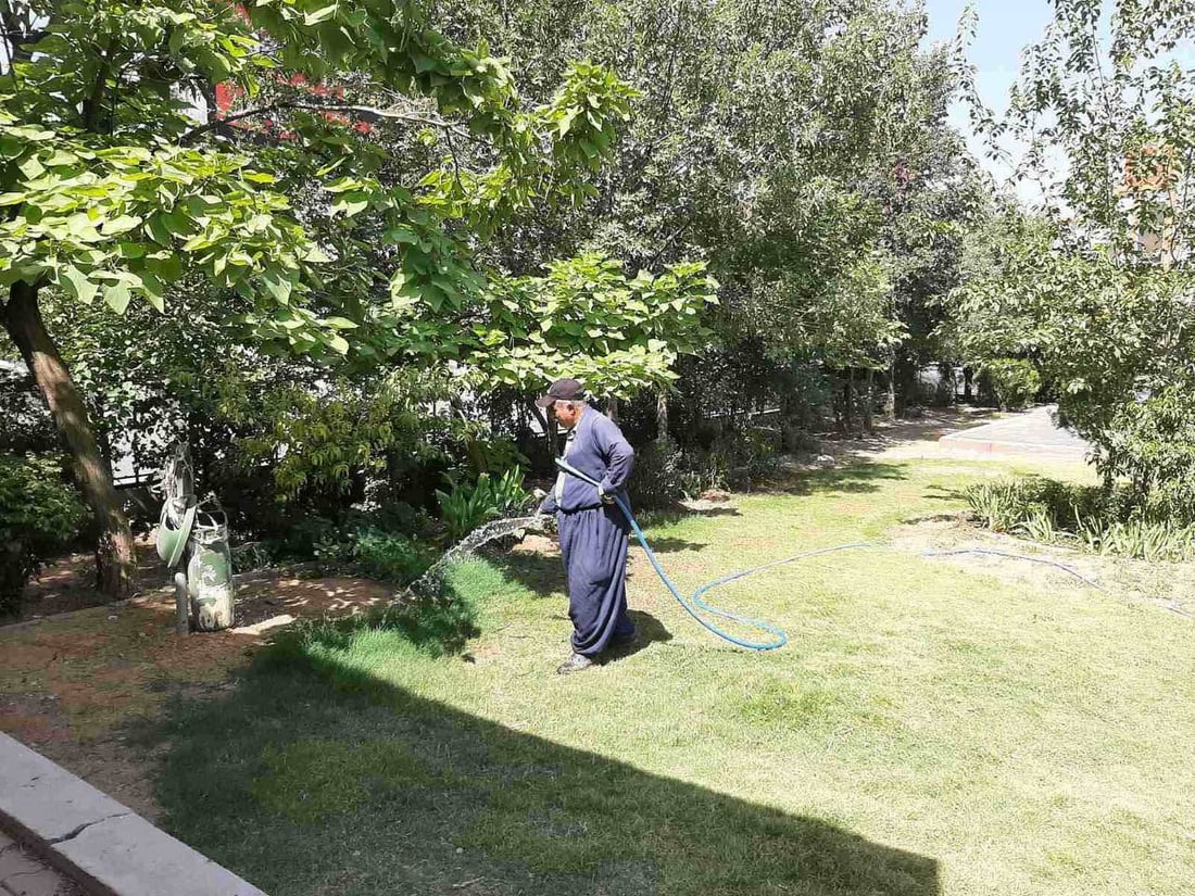 لە سلێمانی چوار شوێنی نوێ سەوز دەکرێن