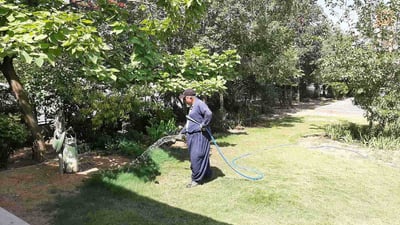 لە سلێمانی چوار شوێنی نوێ سەوز دەکرێن