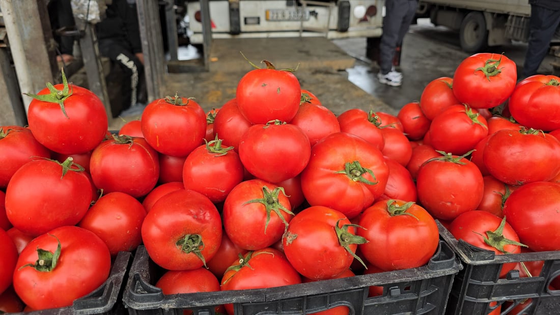 لە سلێمانی نرخی تەماتە و پەتاتە دووقات بەرزبوونەتەوە 