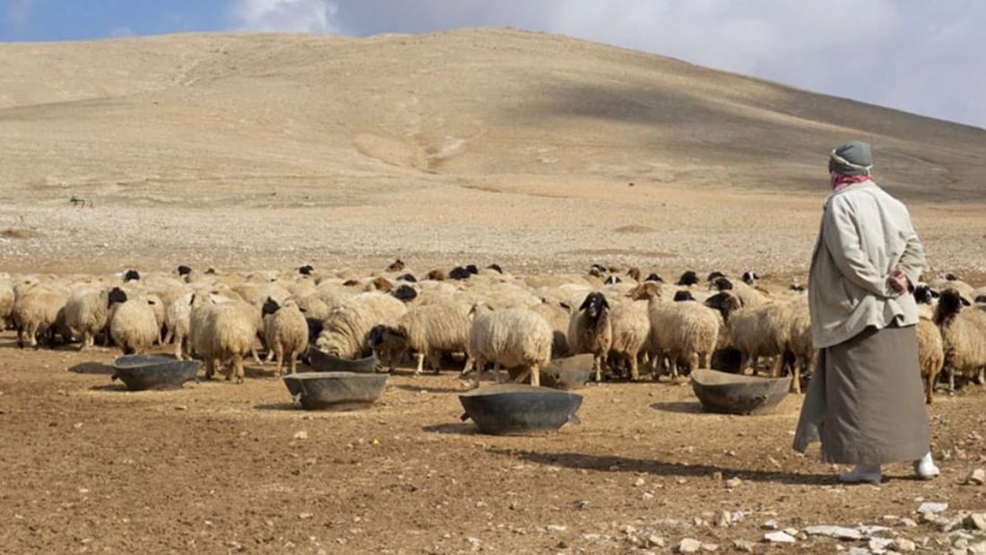 إصابة فتاة عشرينية ترعى الأغنام في بادية المثنى برصاص مجهولين