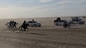 Thoroughbreds from six governorates race in annual Dhi Qar festival