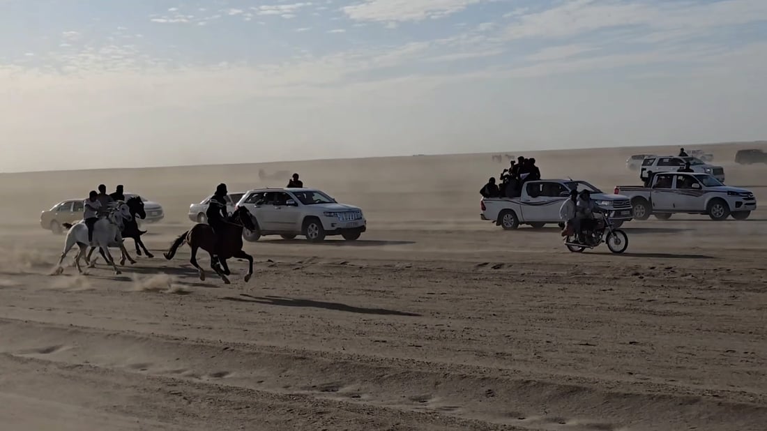 Thoroughbreds from six governorates race in annual Dhi Qar festival