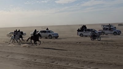 Thoroughbreds from six governorates race in annual Dhi Qar festival